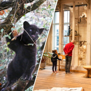 Combiticket ARTIS-Park&ARTIS-Groote Museum